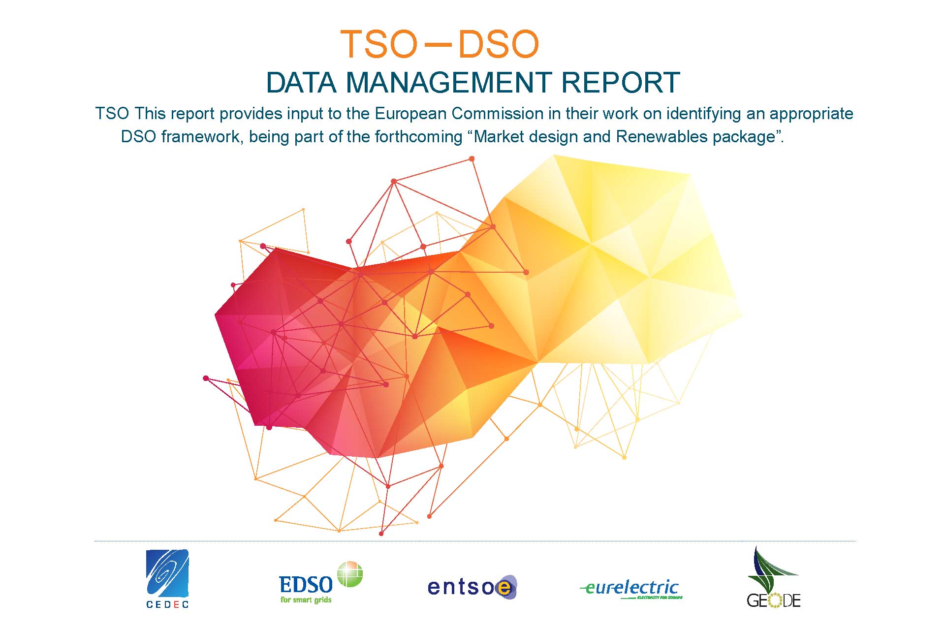 TSO - DSO Data Management Report 