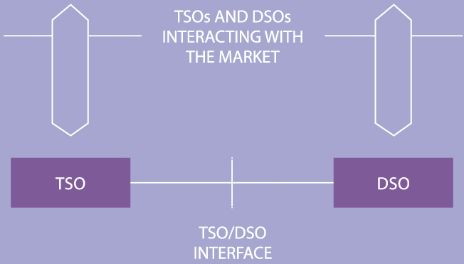 TSO - DSO Interacting with the market